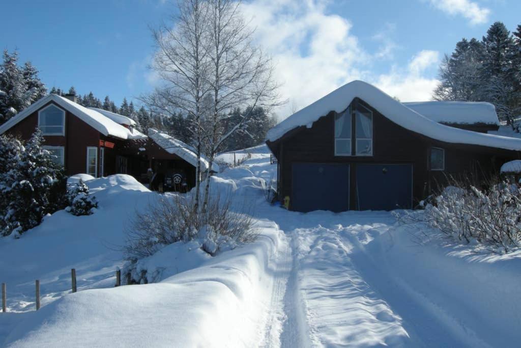 فيلا Skjerping Gardshus, Lonevåg المظهر الخارجي الصورة