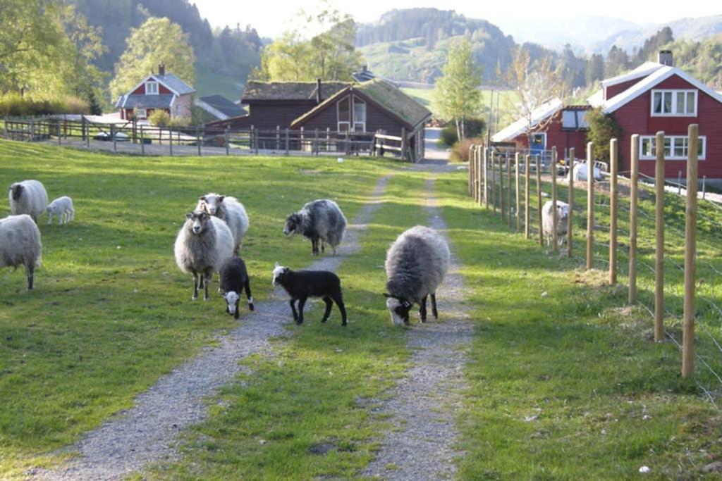 فيلا Skjerping Gardshus, Lonevåg المظهر الخارجي الصورة
